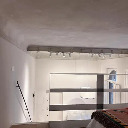 Apartment Designer Loft In